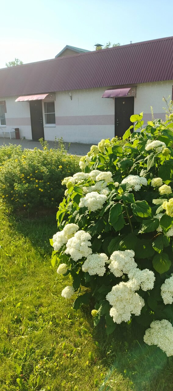 Гостиница Благовест Дивеево-46