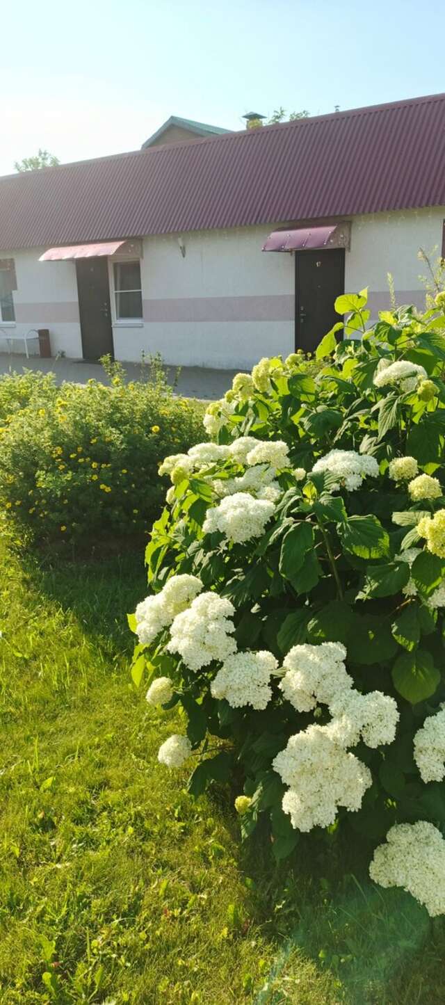 Гостиница Благовест Дивеево-45